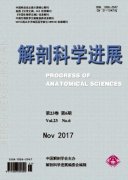 解剖科学进展杂志