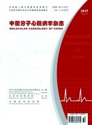 中国分子心脏病学杂志杂志